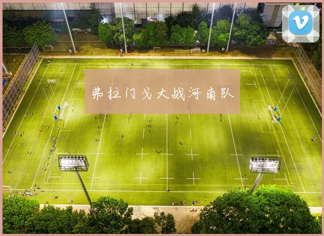 弗拉门戈大战河南队