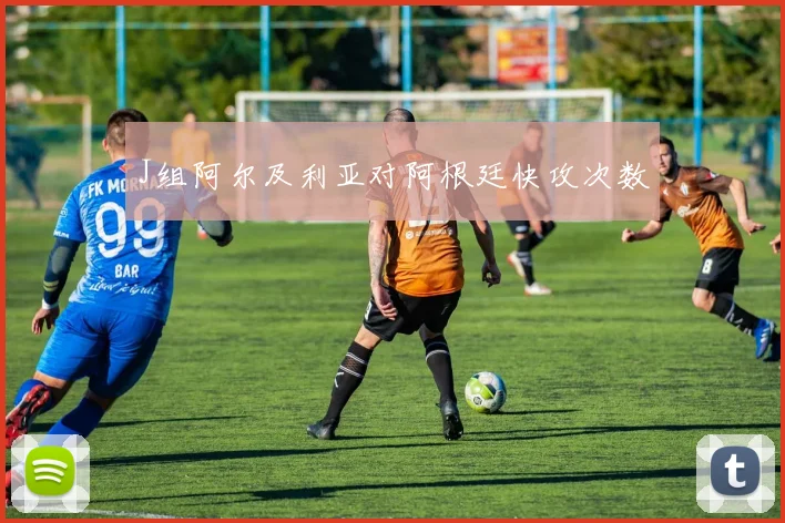 J组阿尔及利亚对阿根廷快攻次数