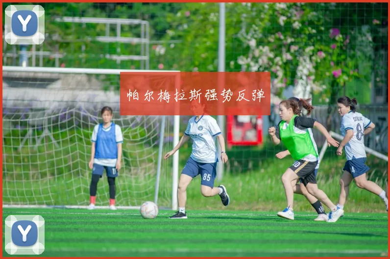 帕尔梅拉斯强势反弹