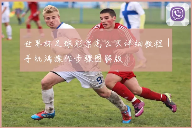 世界杯足球彩票怎么买详细教程｜手机端操作步骤图解版
