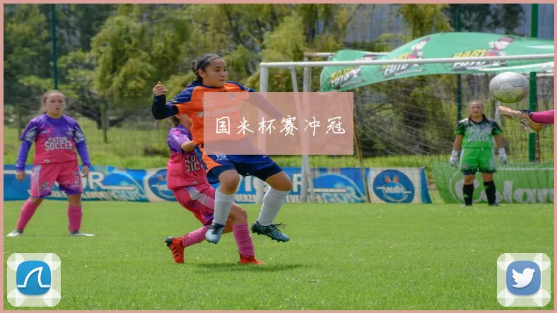 国米杯赛冲冠