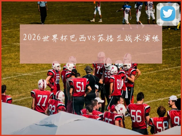 2026世界杯巴西vs苏格兰战术演练