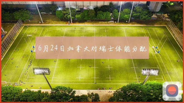 6月24日加拿大对瑞士体能分配
