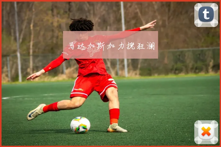 马达加斯加力挽狂澜