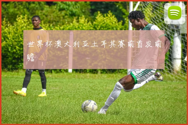 世界杯澳大利亚土耳其赛前首发前瞻