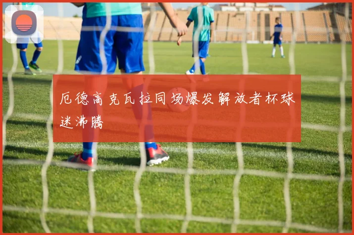 厄德高克瓦拉同场爆发解放者杯球迷沸腾